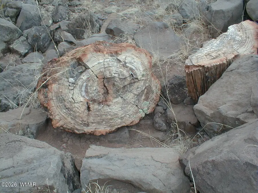 LOT 13 N8526, Concho, AZ 85924 - Image #3