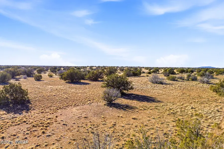 SW4 Nw4 Section 4 T14n R16e, Heber, AZ 85928 - #3