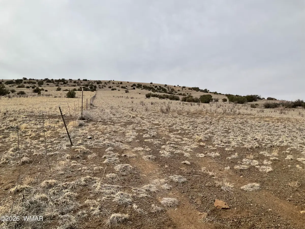 TBD Tbd, Vernon, AZ 85940 - #1