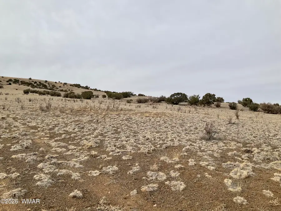 TBD Tbd, Vernon, AZ 85940 - #2