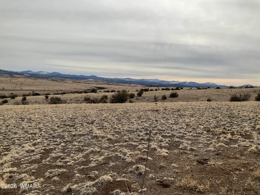 TBD Tbd, Vernon, AZ 85940 - #3