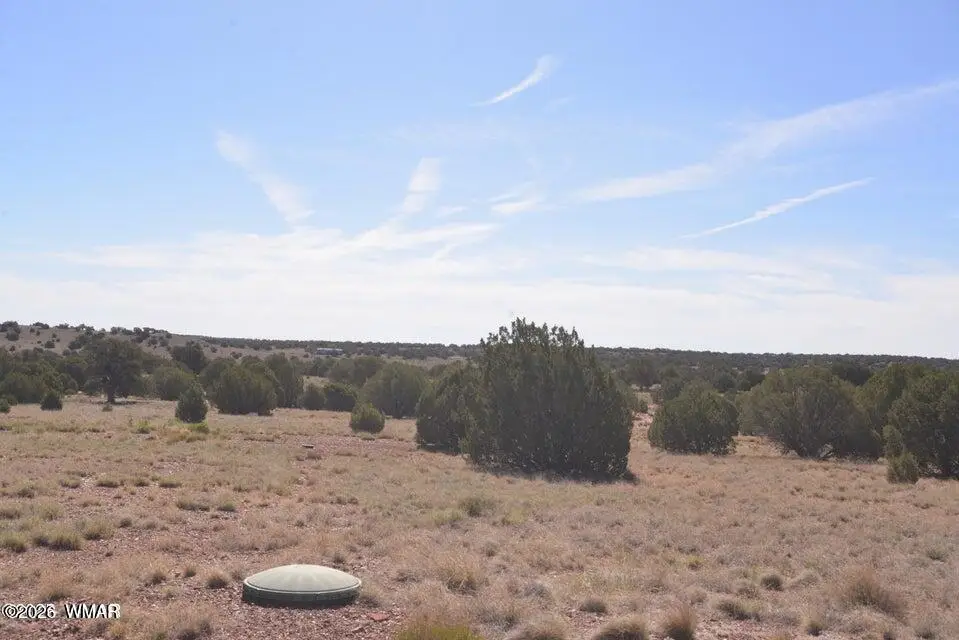 1 N9218 And 9234 Red River, Concho, AZ 85924 - Image #1