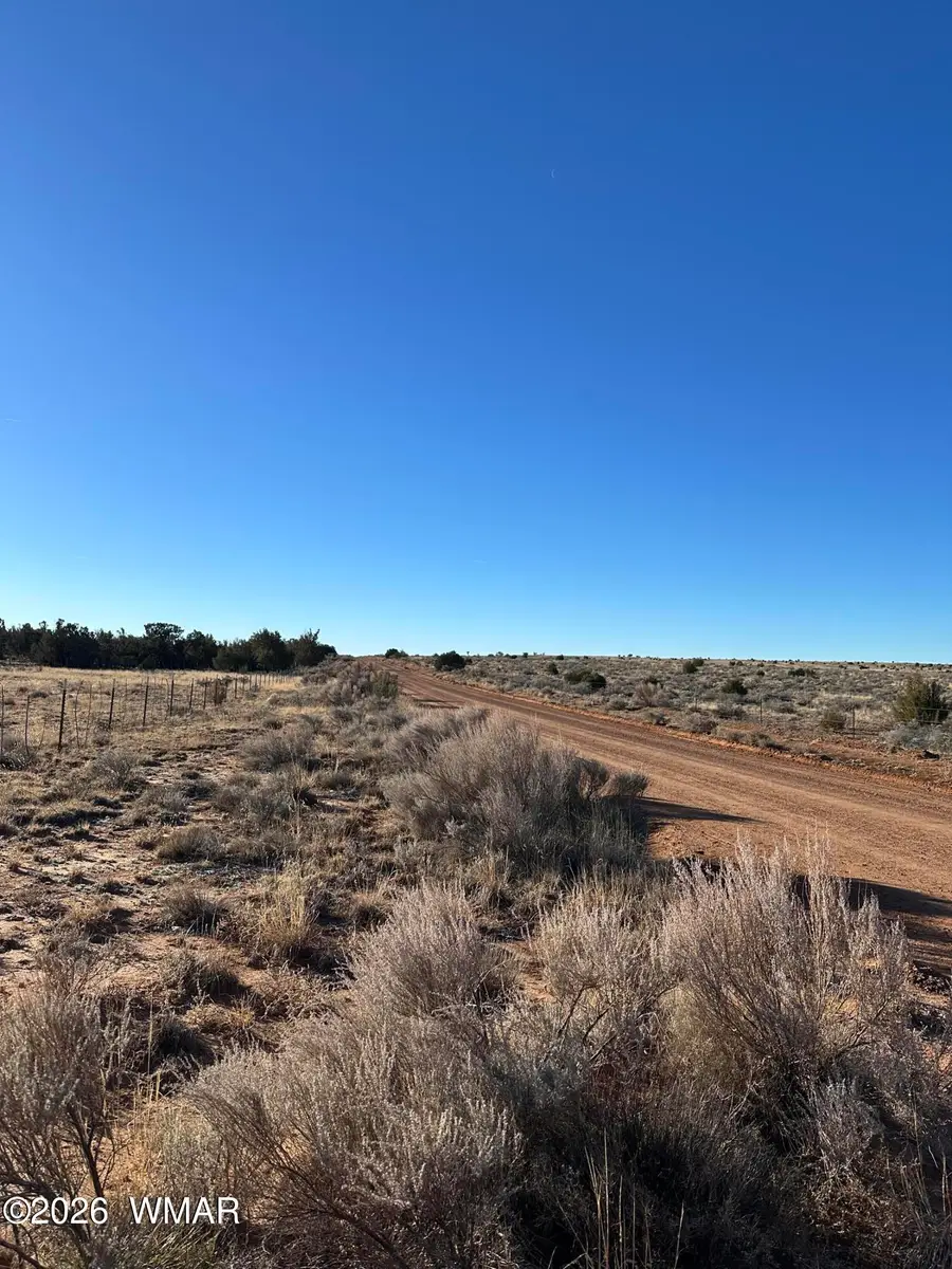 3893 Trebil Boulevard, Snowflake, AZ 85937 - #3