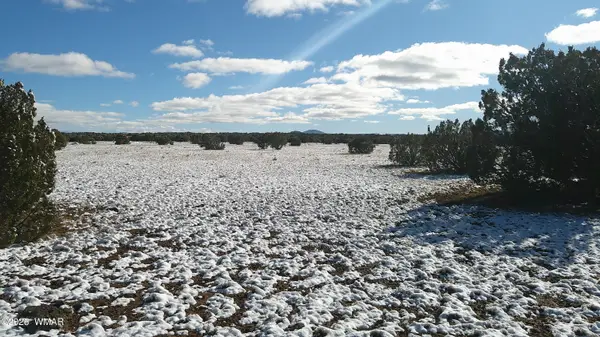 8571 Pine Lane, Snowflake, AZ 85937