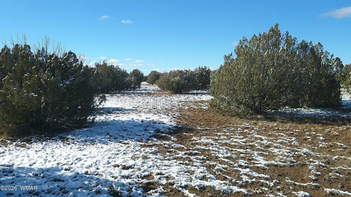 8577 Pine Lane, Snowflake, AZ 85937 - #1