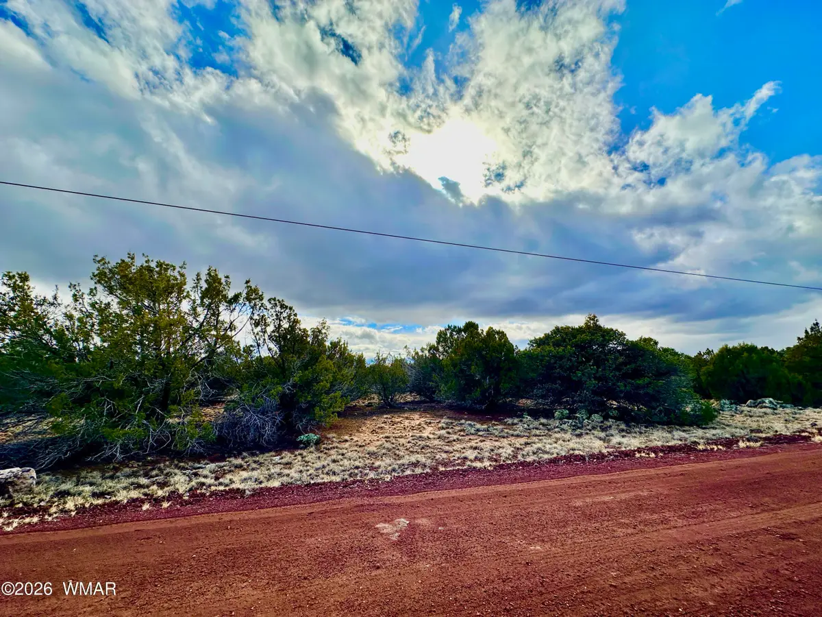 14 County Rd 8248, Vernon, AZ 85940 - #1