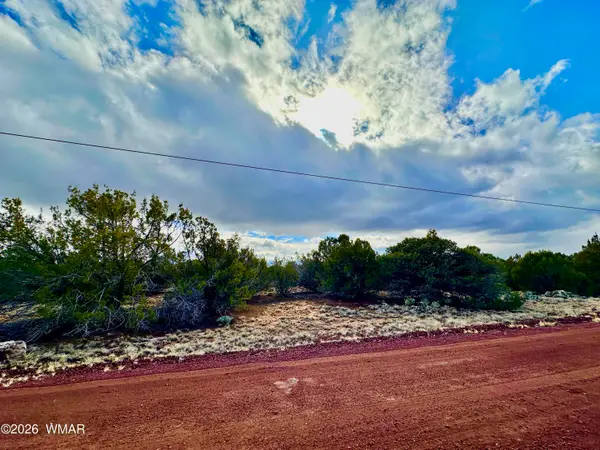 14 County Rd 8248, Vernon, AZ 85940