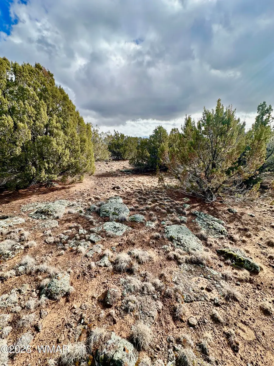 14 County Rd 8248, Vernon, AZ 85940 - #2