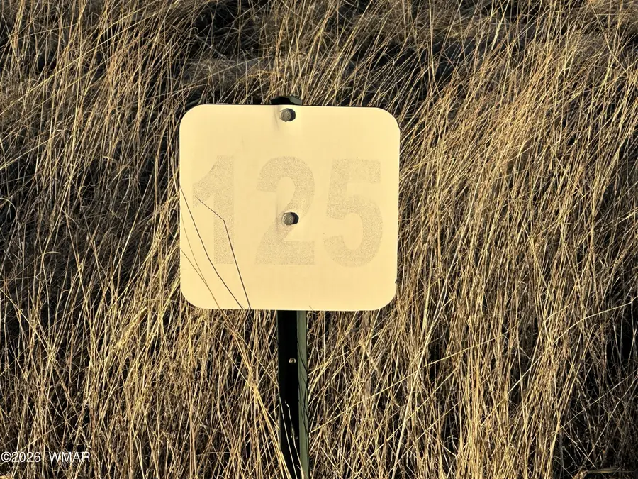 TBD 3rd Place Lot 125, Eagar, AZ 85925 - Image #3