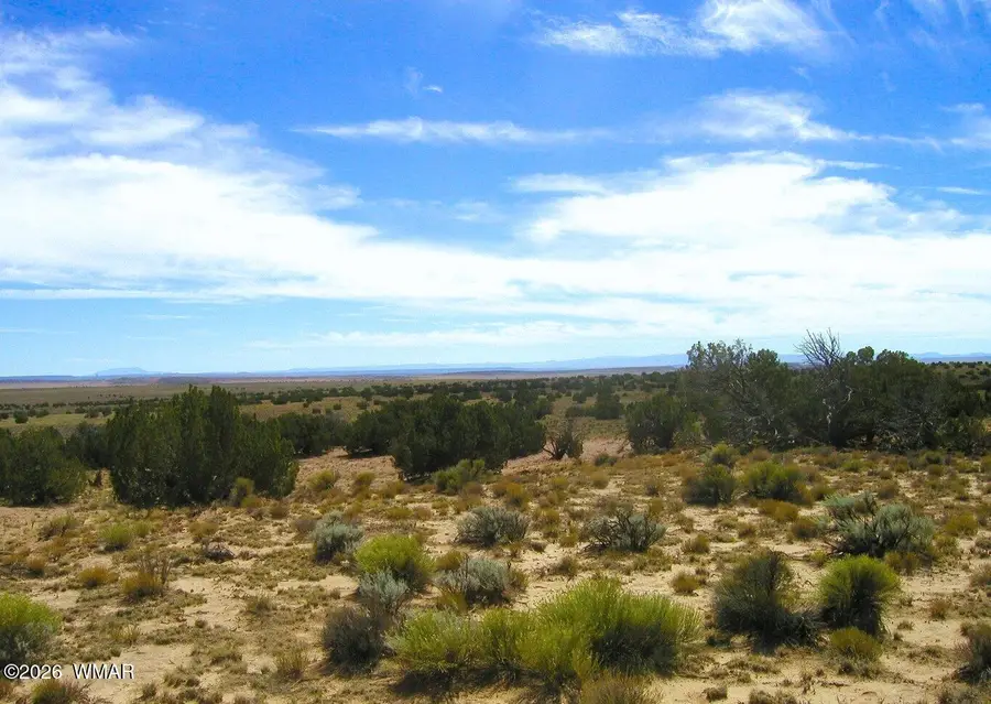TBD Lot 372 Cr N7150, Saint Johns, AZ 85936 - Image #2