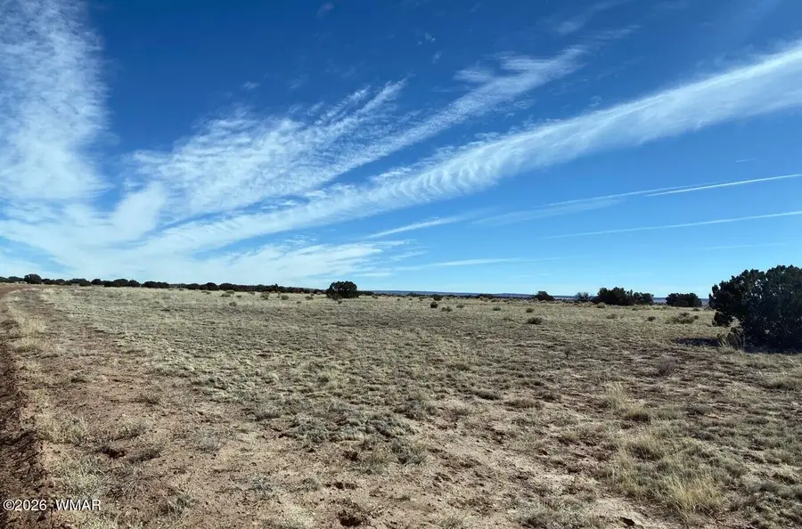 TBD Lot 372 Cr N7150, Saint Johns, AZ 85936 - Image #3