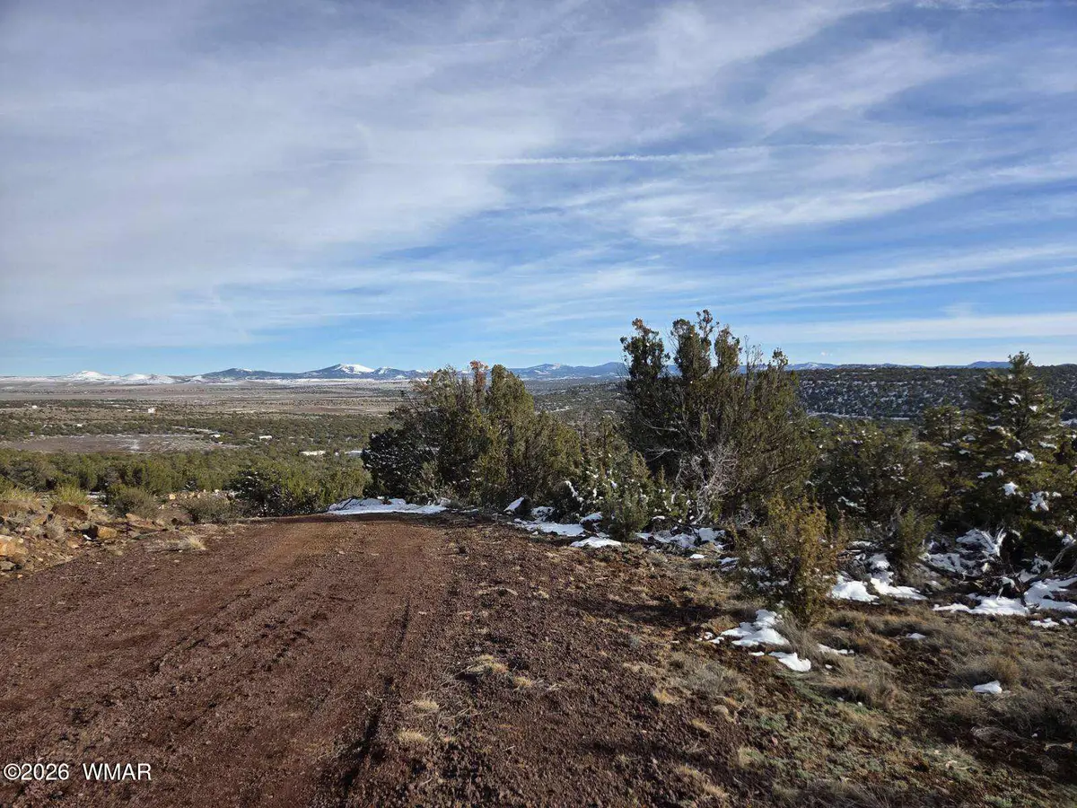 10 Co Road, Vernon, AZ 85940 - #1