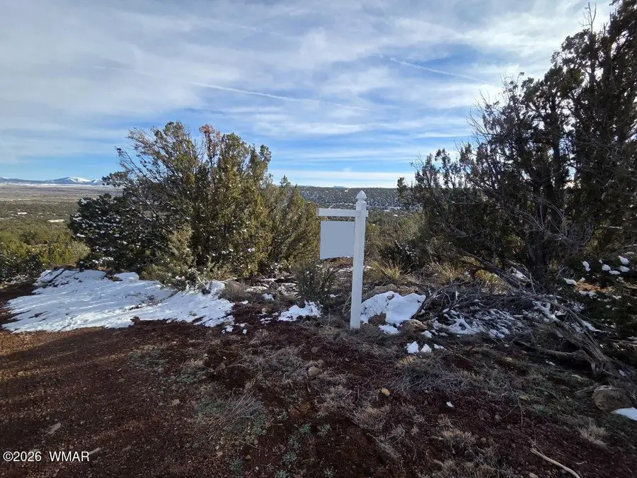 10 Co Road, Vernon, AZ 85940 - #3