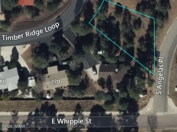 250 Timber Ridge Loop, Show Low, AZ 85901 - #1