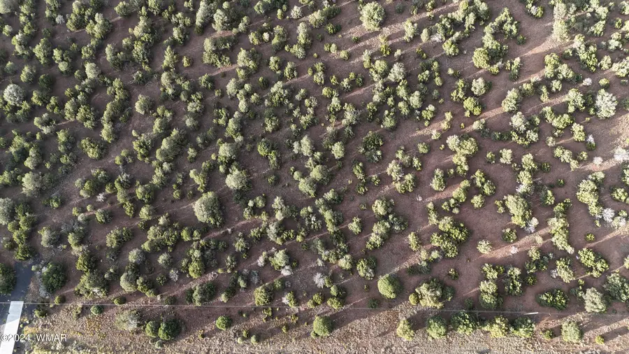 35555 Us-60, Vernon, AZ 85940 - #2