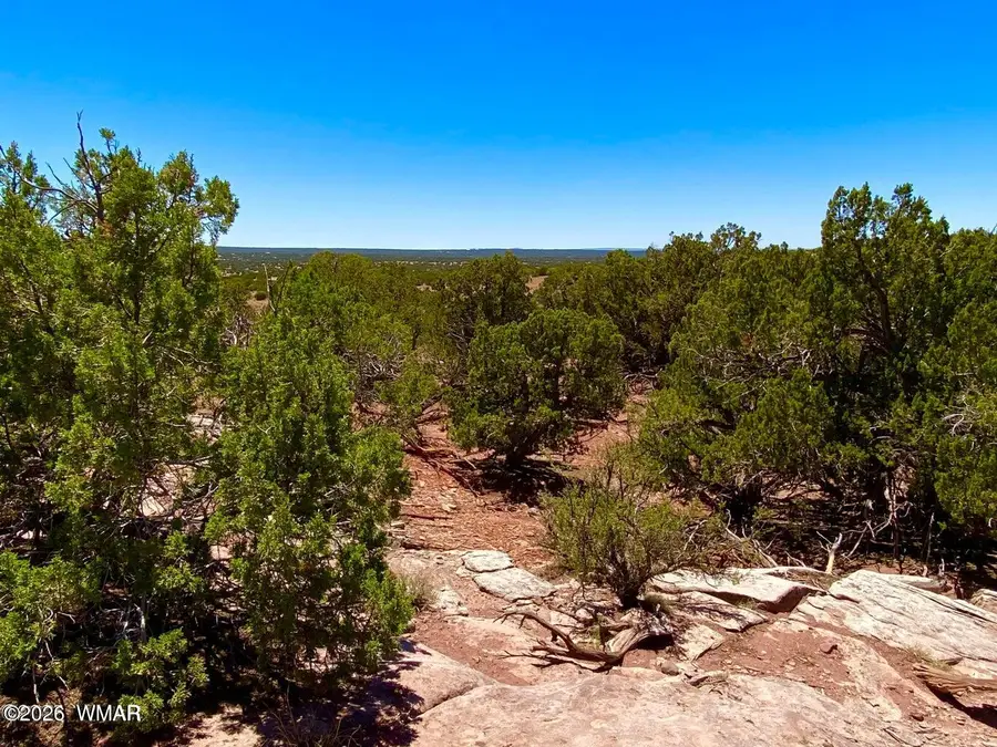 9286 Blackberry Lane, Show Low, AZ 85901 - Image #3