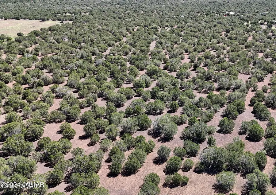 1235 Baha Road, Show Low, AZ 85901 - Image #2