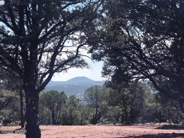 Lot 20 Mountain Pine Road, Vernon, AZ 85940 - #1