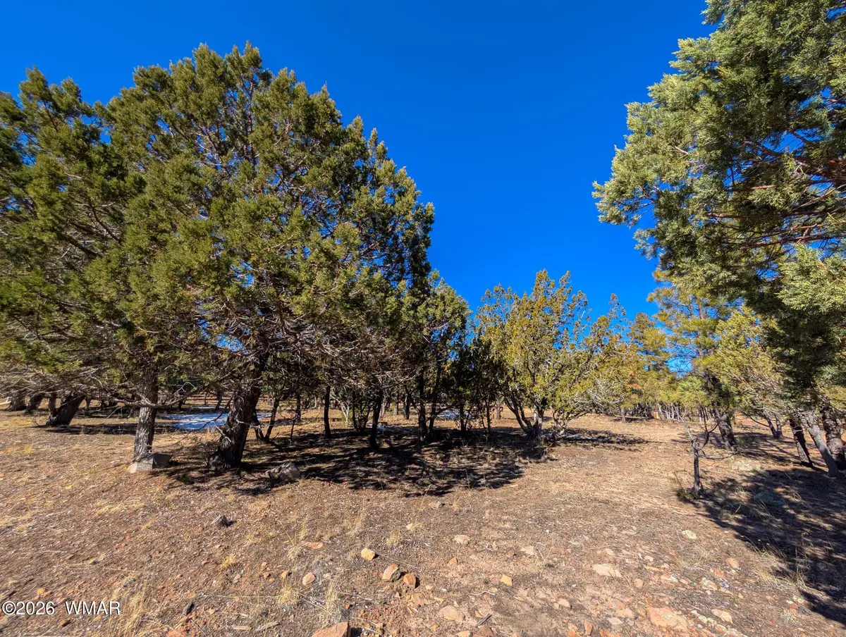 1462 Low Mountain Trail, Heber, AZ 85928 - #1