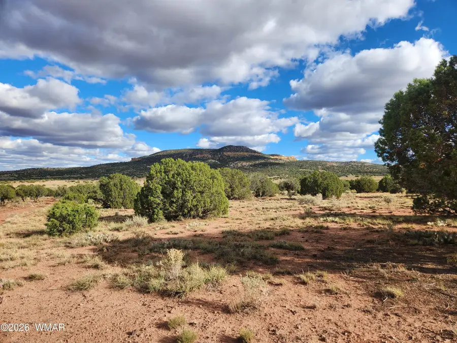 Lot 18 N8612, Concho, AZ 85924 - Image #3