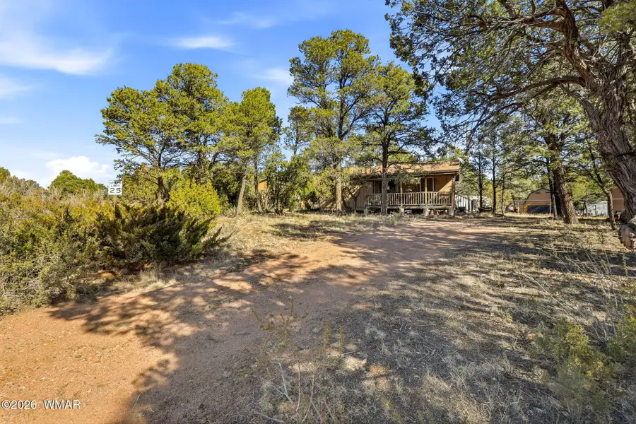 3471 Evergreen Drive, Overgaard, AZ 85933 - #3
