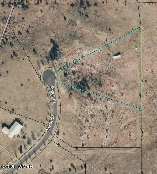 1151 S Peach Court, Taylor, AZ 85939 - #2