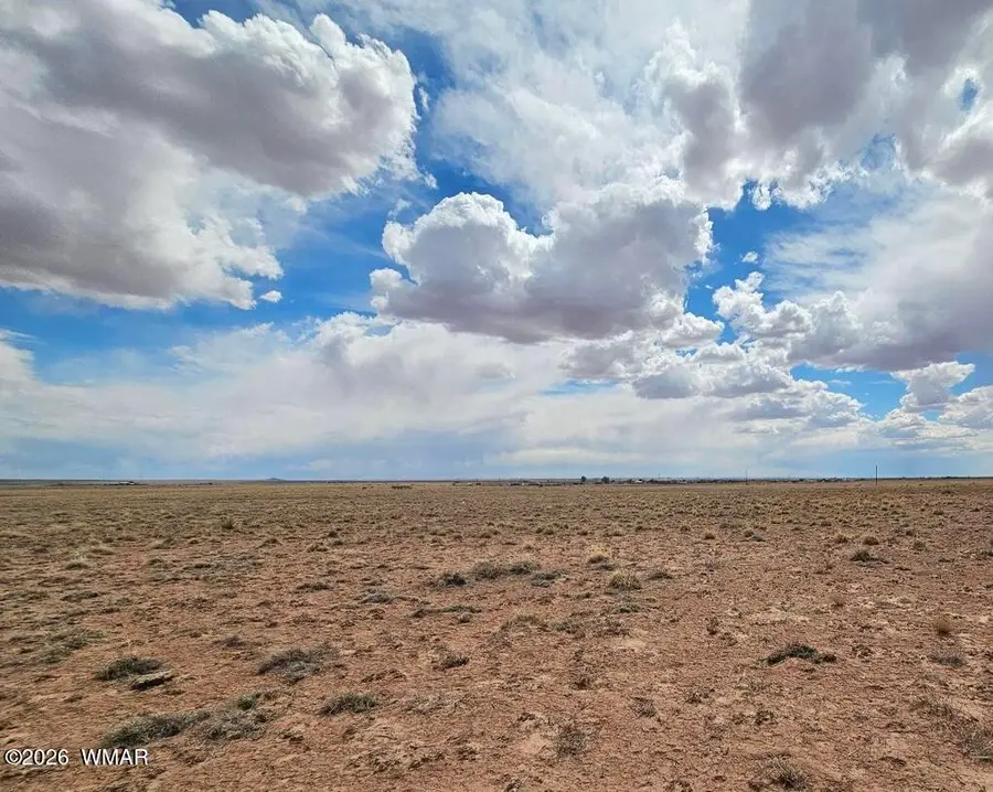 7785 Quail Street, Sun Valley, AZ 86029 - #2