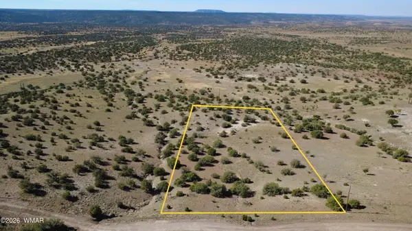 41 County Road 5062, Concho, AZ 85924