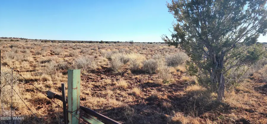 TBD 110 Acres 180 & 180a, Concho, AZ 85924 - #3