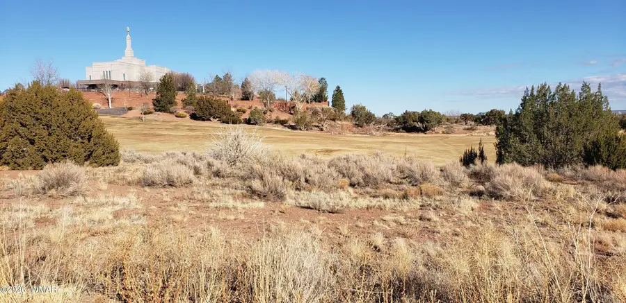 485 S Pioneer Trail, Snowflake, AZ 85937 - #3
