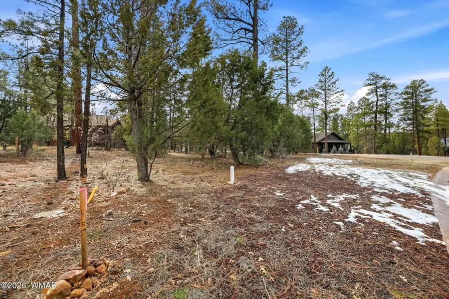 2480 Narrow Leaf Lane, Show Low, AZ 85901 - #3