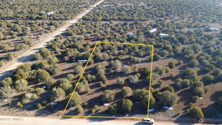 346 Cr Road, Concho, AZ 85924 - #2
