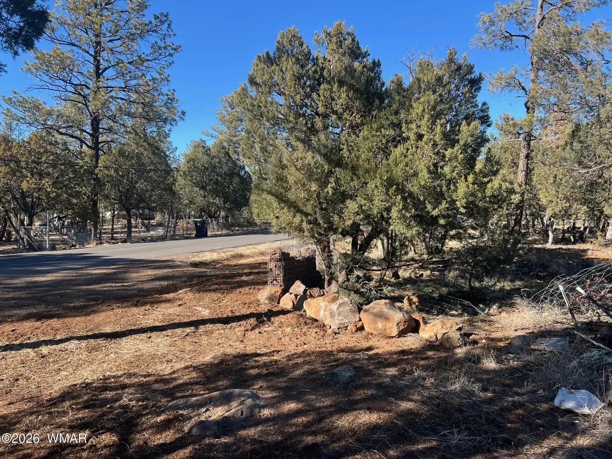 5029 Deer Valley, Lakeside, AZ 85929 - #1