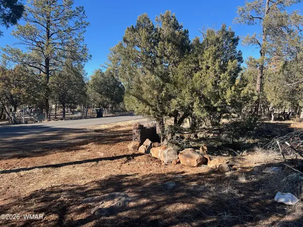 5029 Deer Valley, Lakeside, AZ 85929