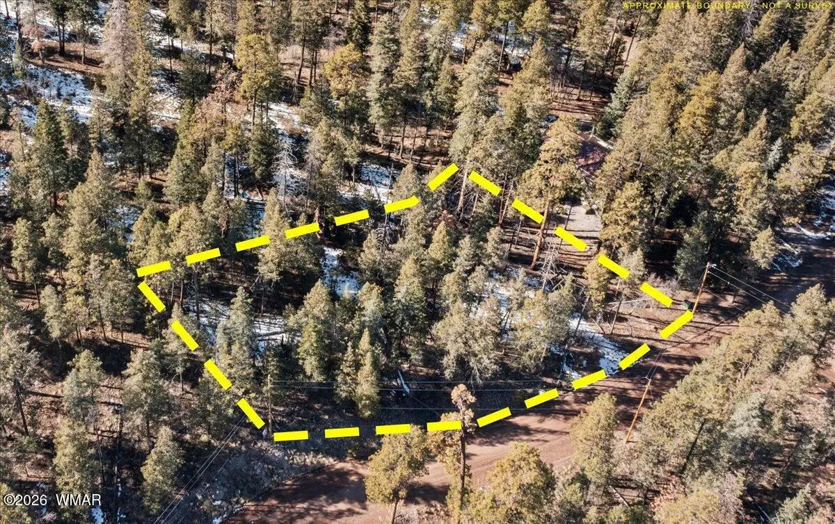 9 County Rd 2073, Alpine, AZ 85920 - Image #1