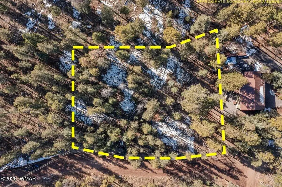 9 County Rd 2073, Alpine, AZ 85920 - Image #2