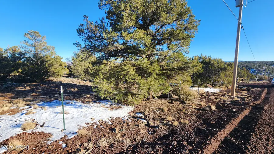 4 County Rd 8127, Concho, AZ 85924 - #2