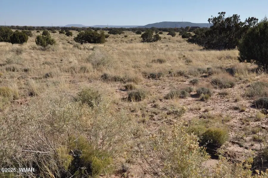 5039 N Pima Road, Snowflake, AZ 85937 - #3