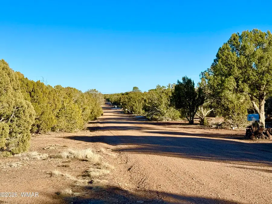 8320 Pinon Drive, Show Low, AZ 85901 - #3