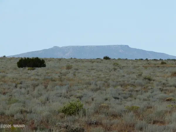 500 Chevelon Canyon Drive, Heber, AZ 85928