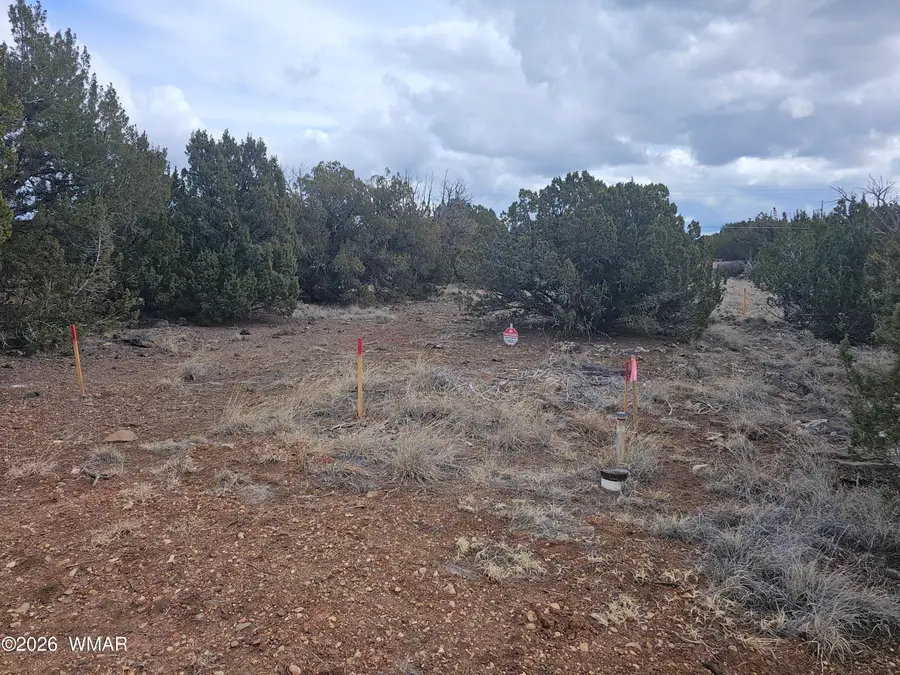 1903 Ponce Place, Show Low, AZ 85901 - #2