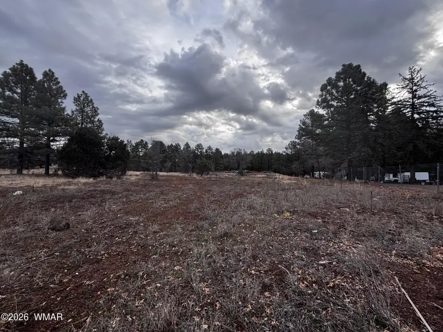 21230027B W White Mountain Blvd, Lakeside, AZ 85929 - #2