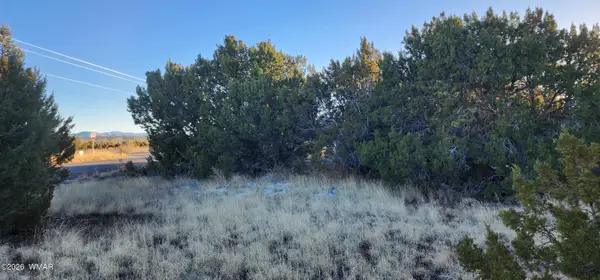 135 Acr 5050, Concho, AZ 85924