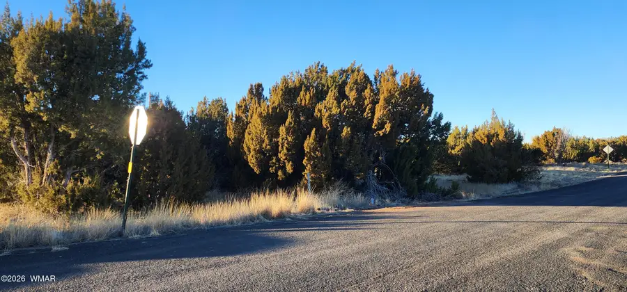 135 Acr 5050, Concho, AZ 85924 - #2