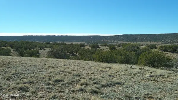 4523 Stirrup Road, Snowflake, AZ 85937