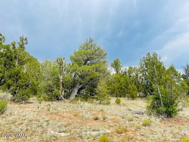 8418 Haven Crest Drive, Happy Jack, AZ 86024 - #1