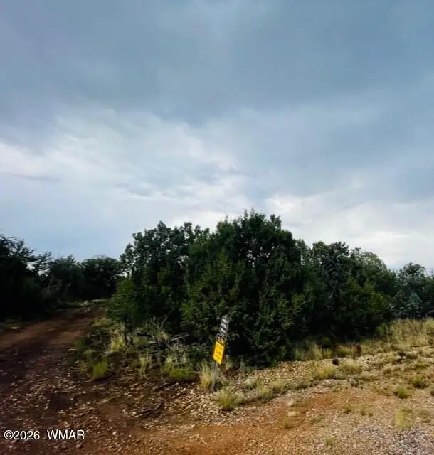 8418 Haven Crest Drive, Happy Jack, AZ 86024 - #2