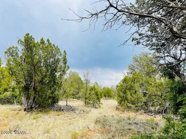 8418 Haven Crest Drive, Happy Jack, AZ 86024 - #3