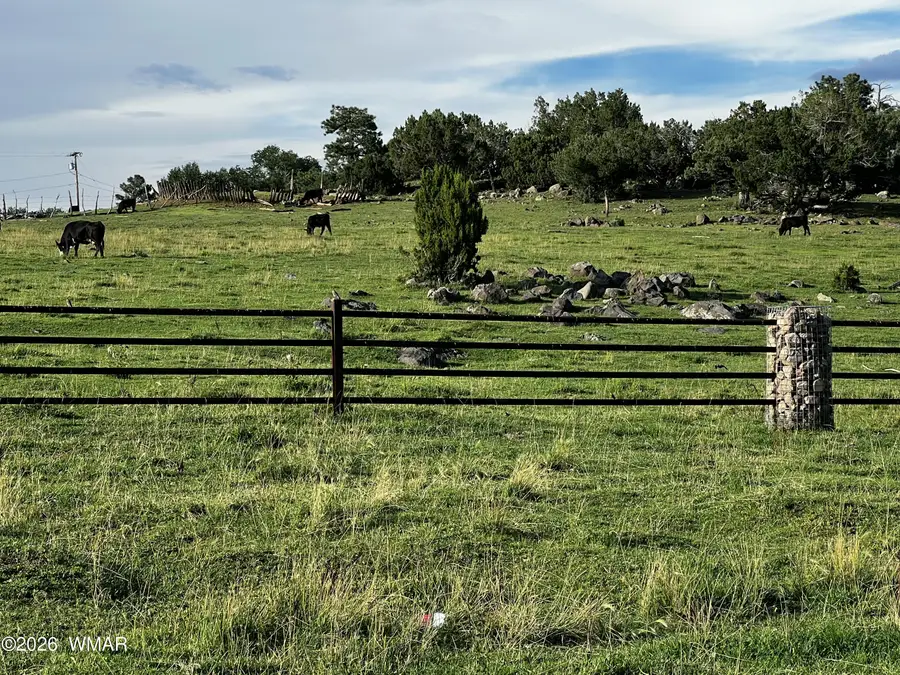 010D E Owens, Show Low, AZ 85901 - #2