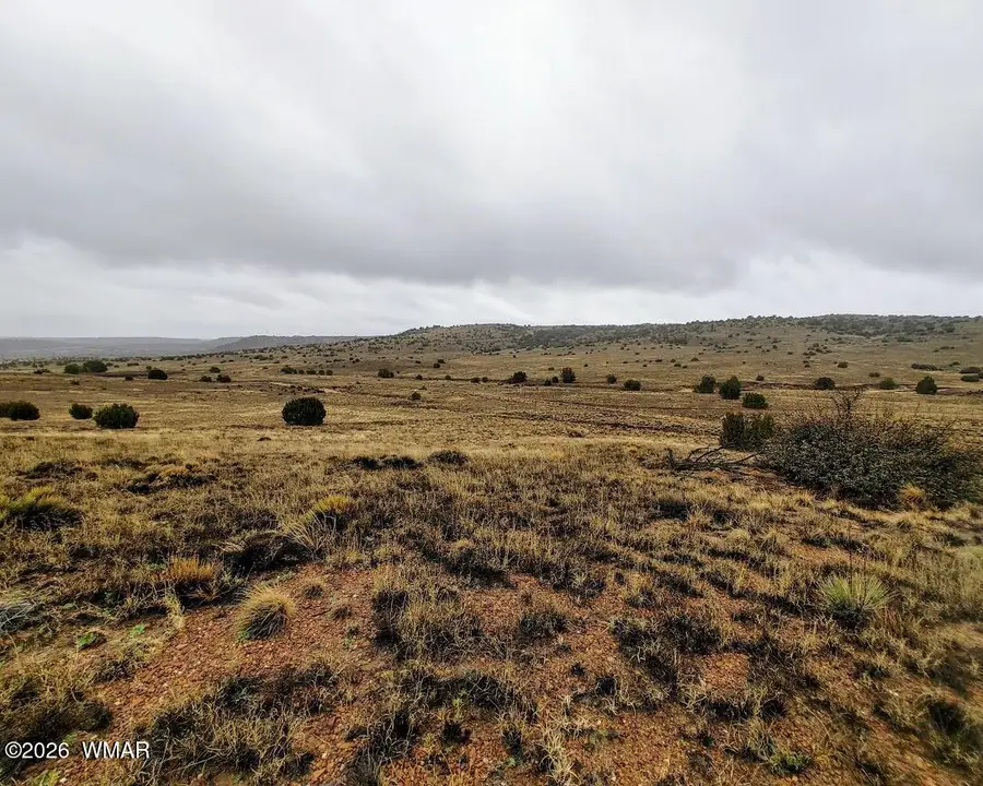 1221 W Farmhouse Drive, Taylor, AZ 85939 - #2